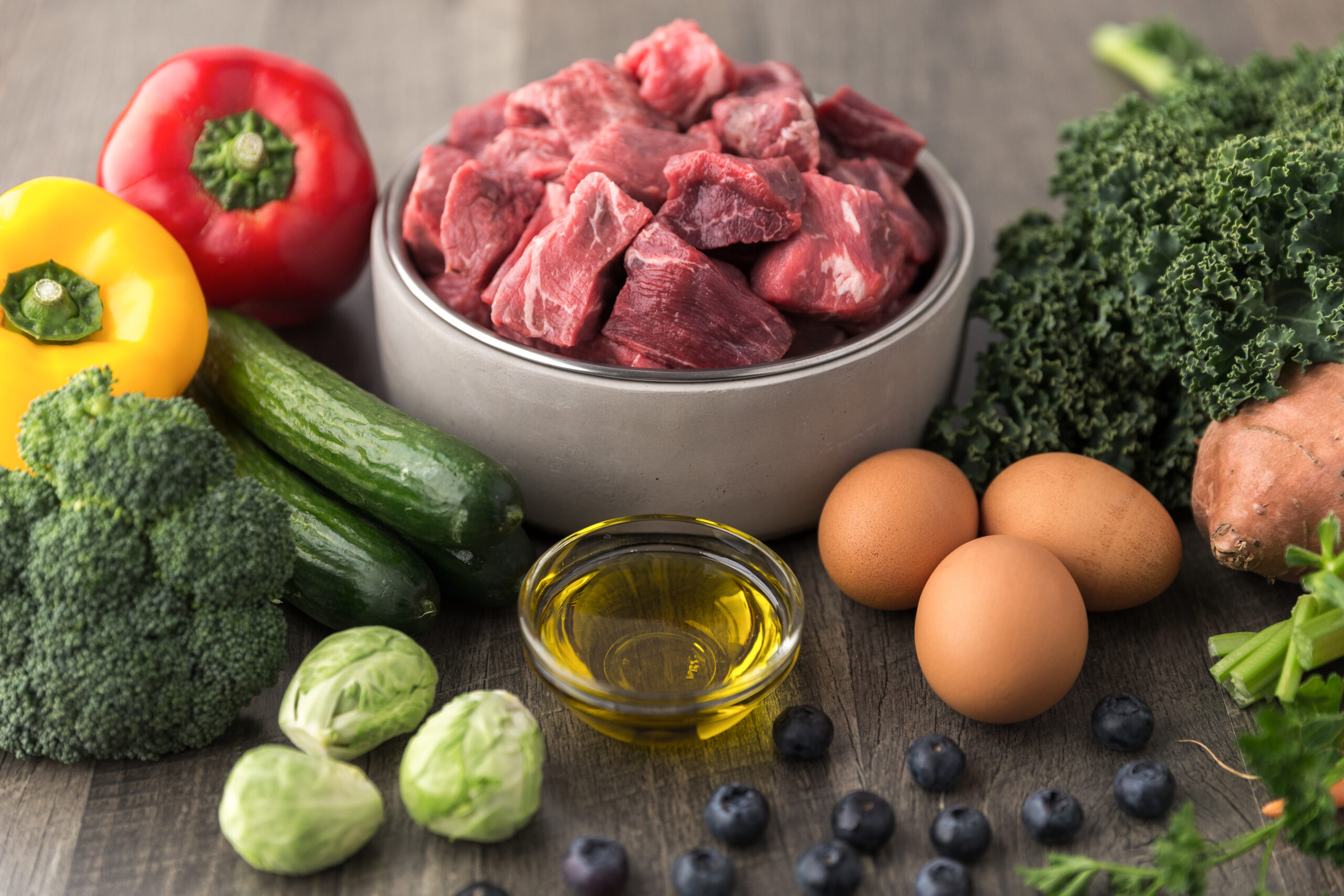Hundenapf mit Rohfutter und Lebensmitteln drum herum
